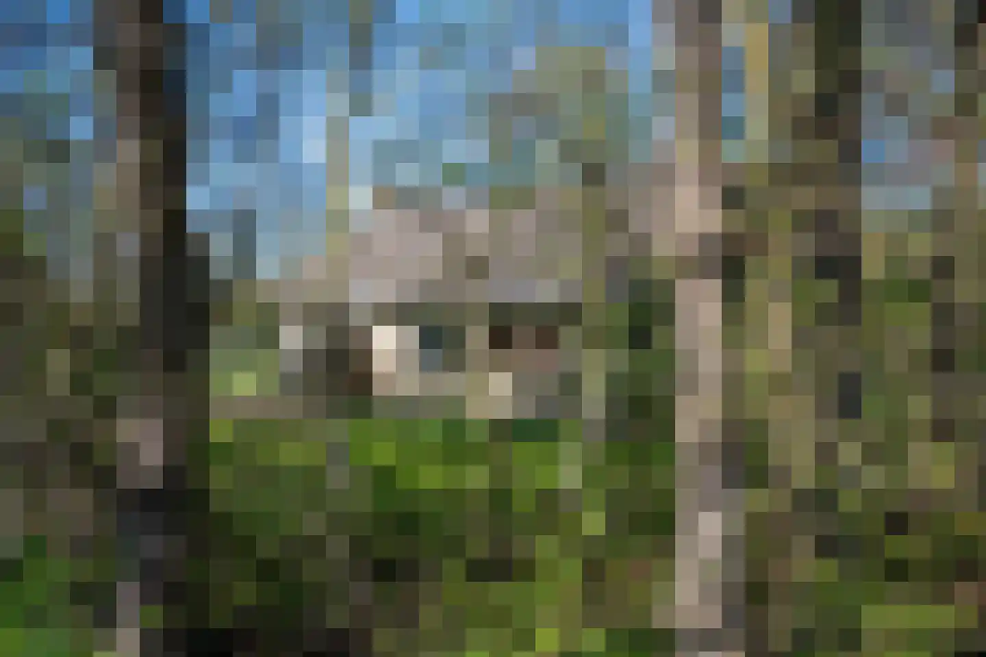 Koksbosweg 37 Formerum thumbnail 29