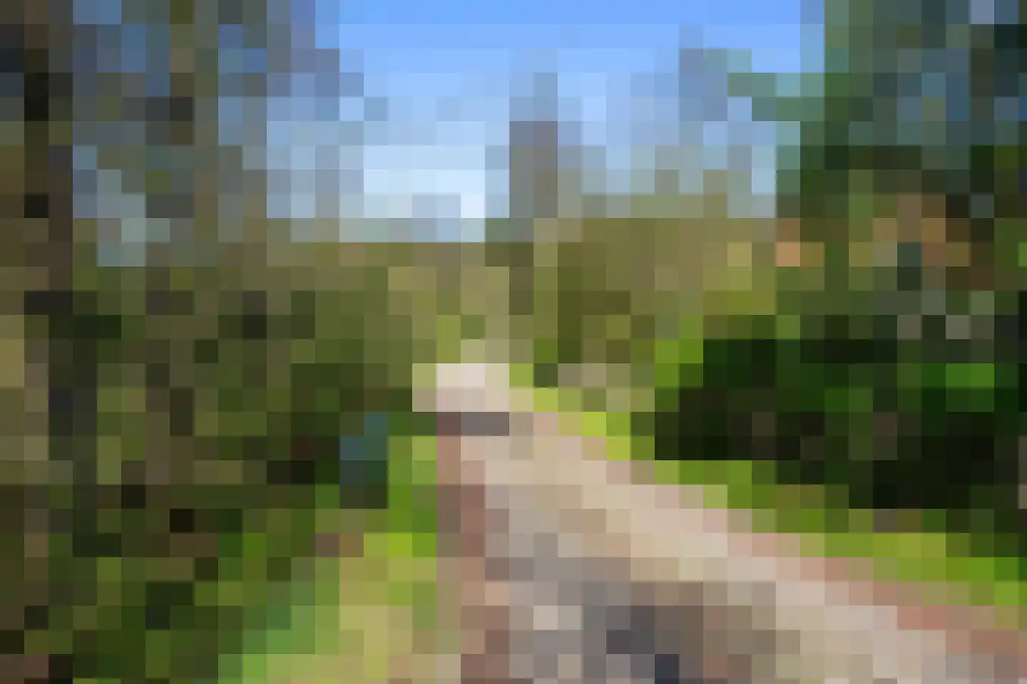 Koksbosweg 37 Formerum thumbnail 30
