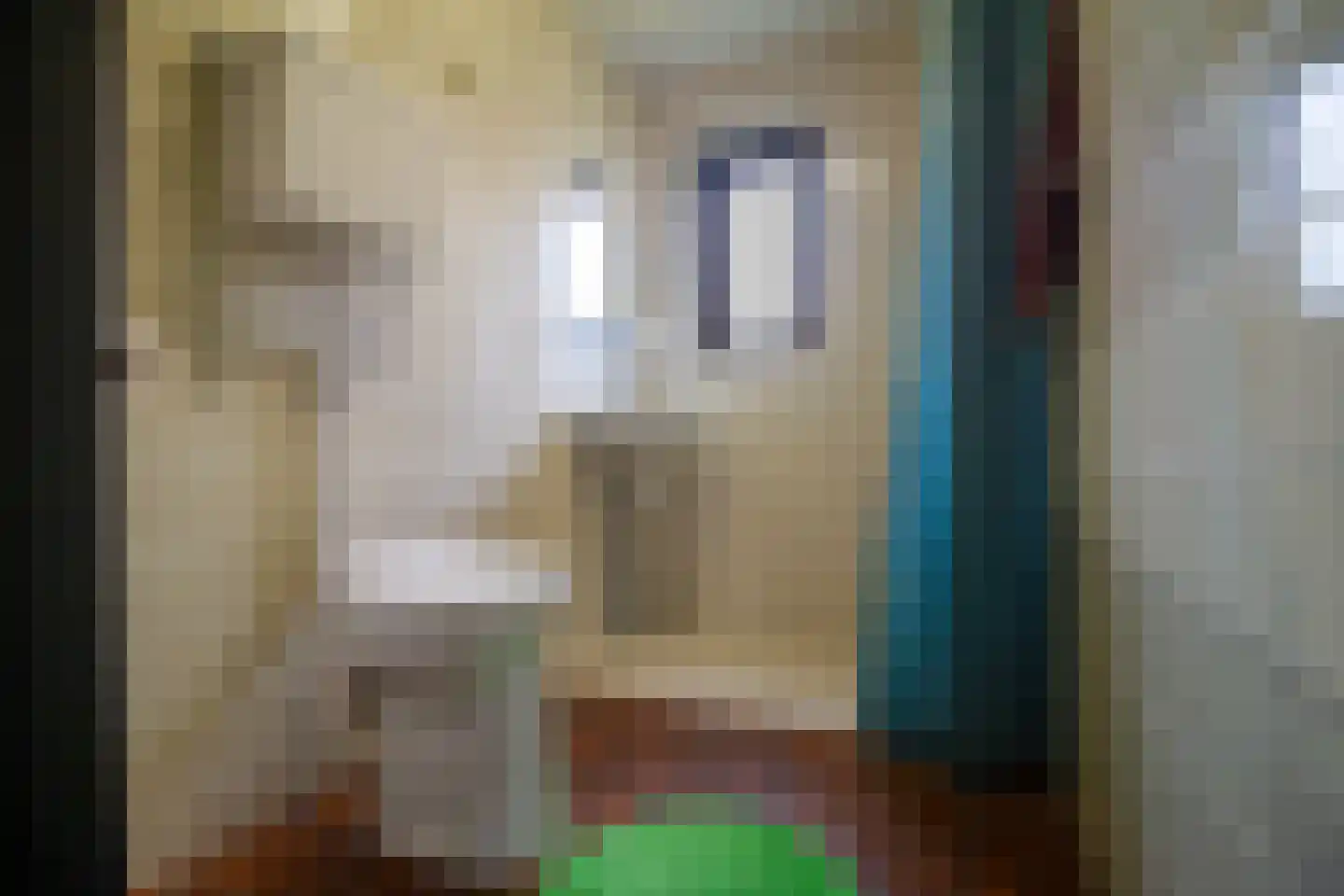Koksbosweg 37 Formerum thumbnail 6