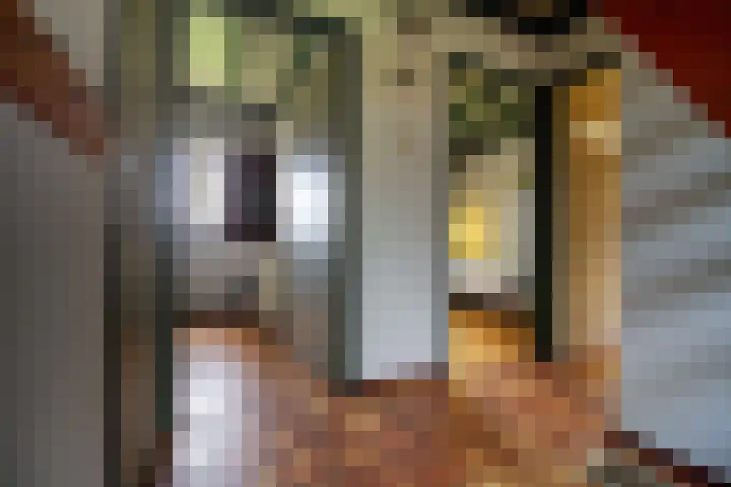 Koksbosweg 37 Formerum thumbnail 7