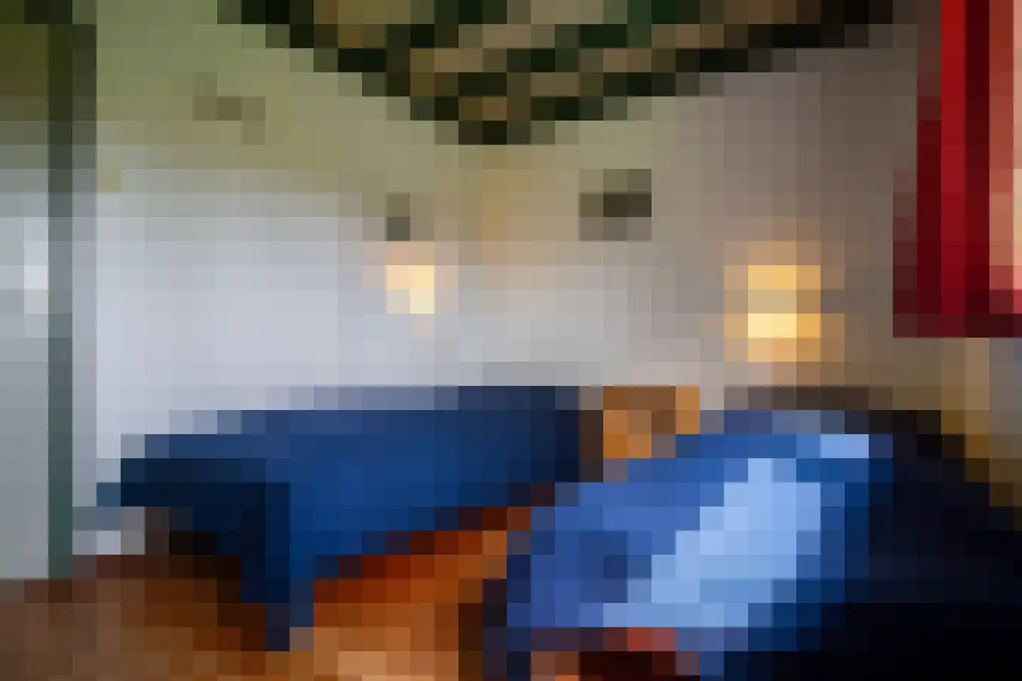 Koksbosweg 37 Formerum thumbnail 8