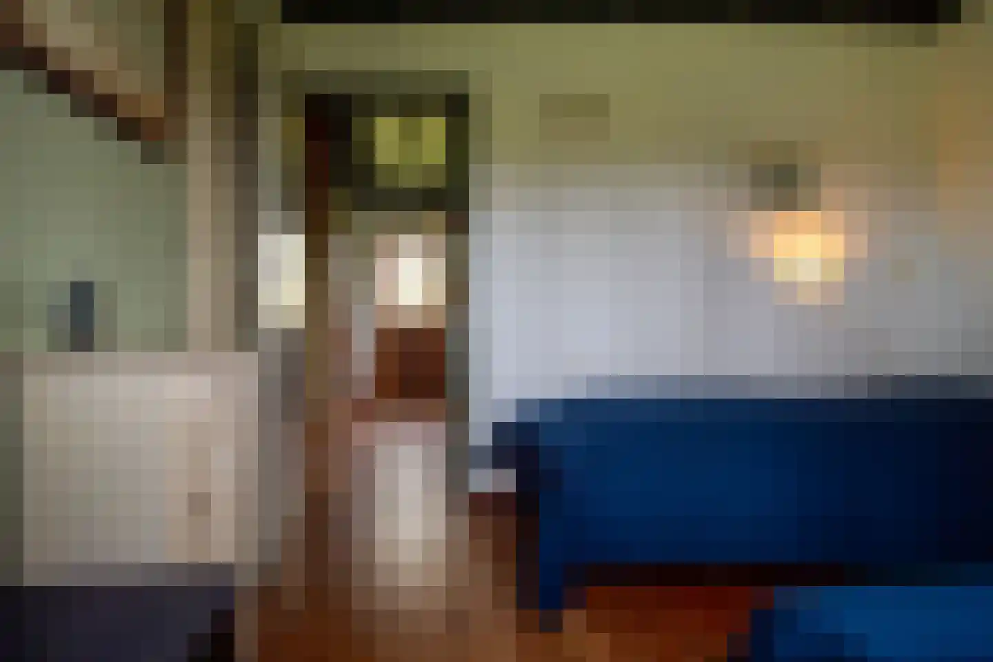 Koksbosweg 37 Formerum thumbnail 9
