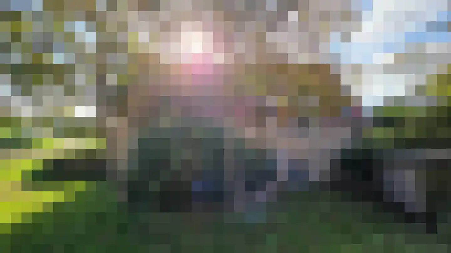 Koksbosweg 4 9 Formerum thumbnail 36