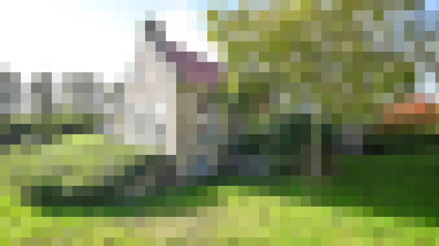 Koksbosweg 4 9 Formerum thumbnail 4