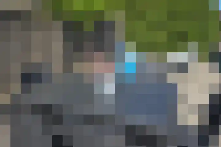 Koksbosweg 6 20 Formerum thumbnail 15