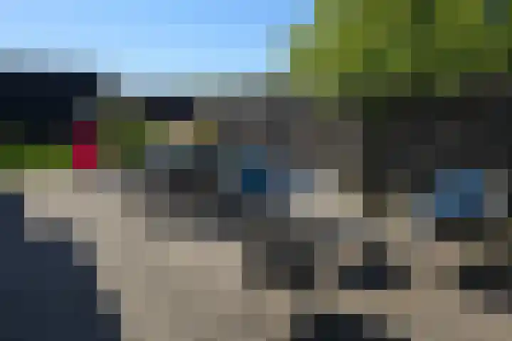 Koksbosweg 6 20 Formerum thumbnail 16