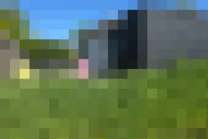 Koksbosweg 6 20 Formerum thumbnail 17