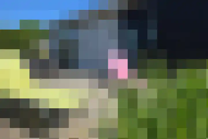 Koksbosweg 6 20 Formerum thumbnail 18