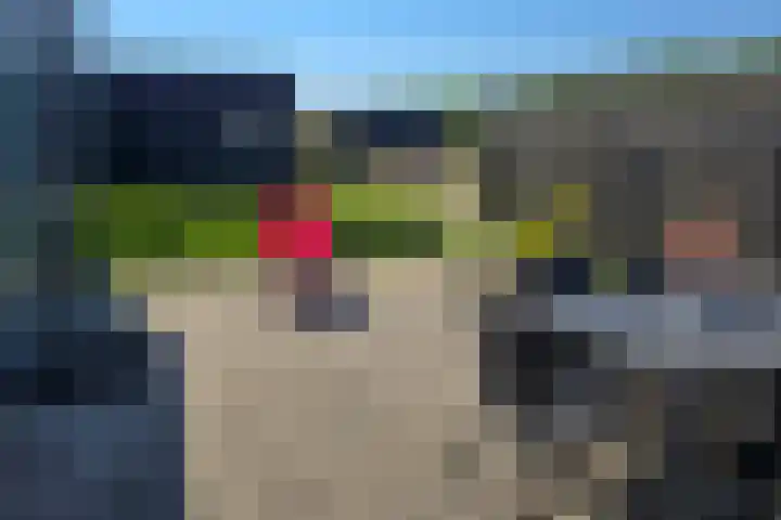 Koksbosweg 6 20 Formerum thumbnail 19