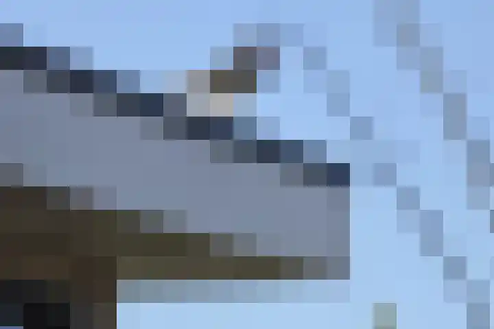 Koksbosweg 6 20 Formerum thumbnail 21
