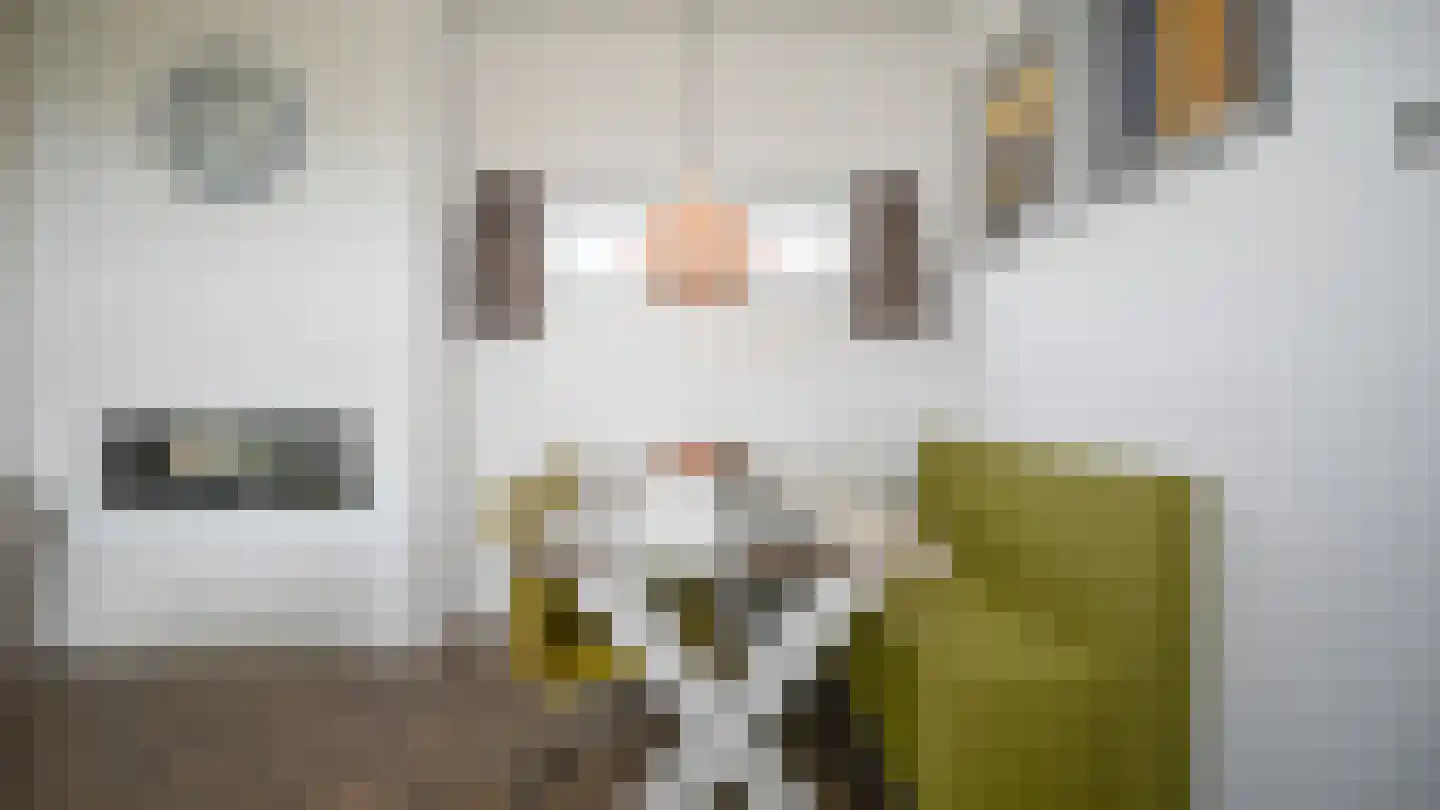 Koksbosweg 6 22 Formerum thumbnail 4