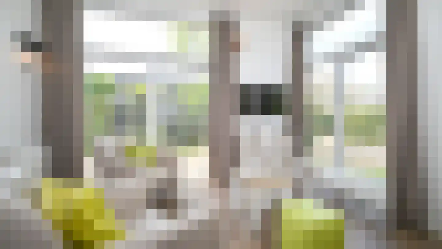 Koksbosweg 6 22 Formerum thumbnail 5