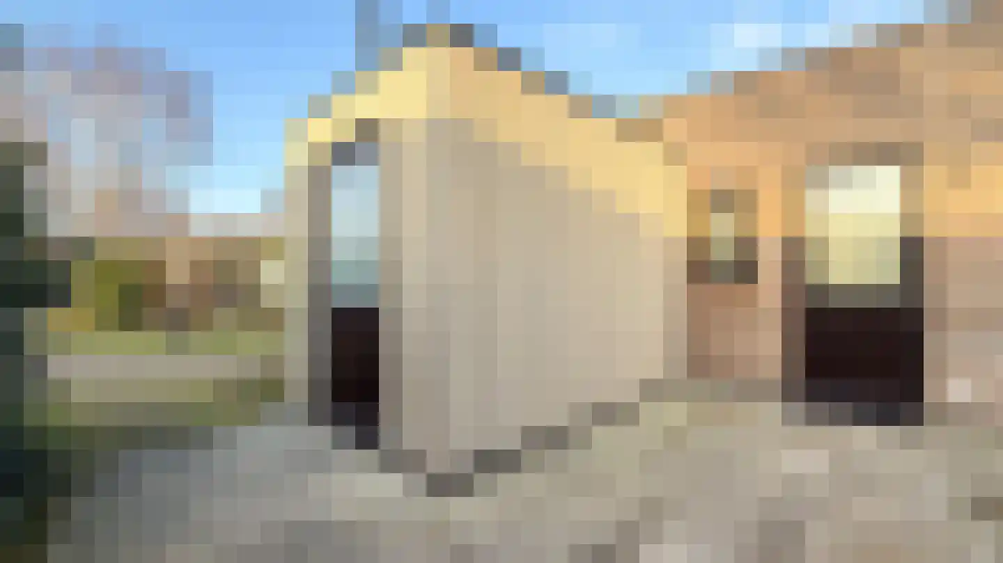 Koksbosweg 6 25 Formerum thumbnail 18