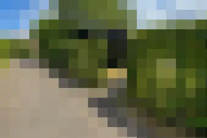 Koksbosweg 6 35 Formerum thumbnail 18