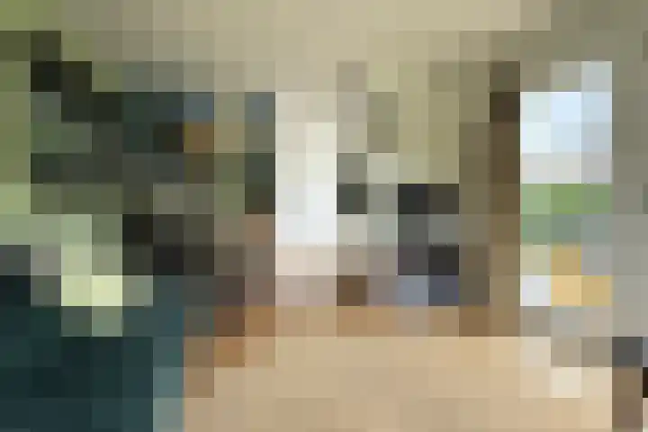 Koksbosweg 6 35 Formerum thumbnail 4