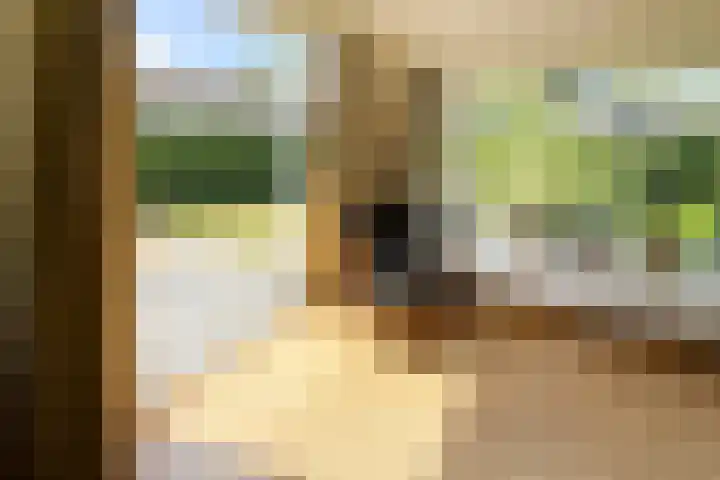 Koksbosweg 6 35 Formerum thumbnail 7