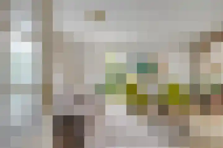 Koksburg 1 Middenbeemster thumbnail 10