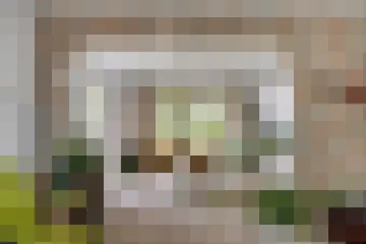 Koksburg 1 Middenbeemster thumbnail 12