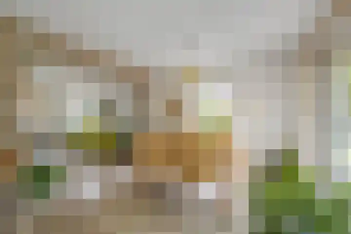 Koksburg 1 Middenbeemster thumbnail 13