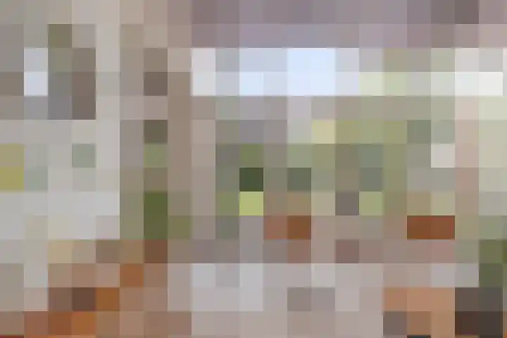 Koksburg 1 Middenbeemster thumbnail 17