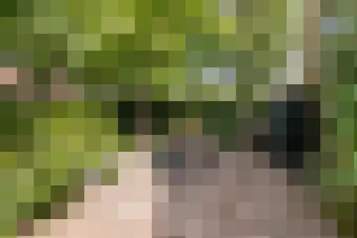 Koksburg 1 Middenbeemster thumbnail 19
