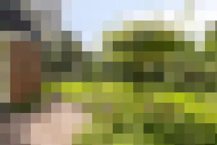Koksburg 1 Middenbeemster thumbnail 20