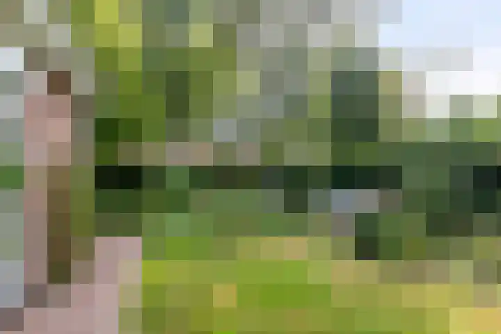 Koksburg 1 Middenbeemster thumbnail 21