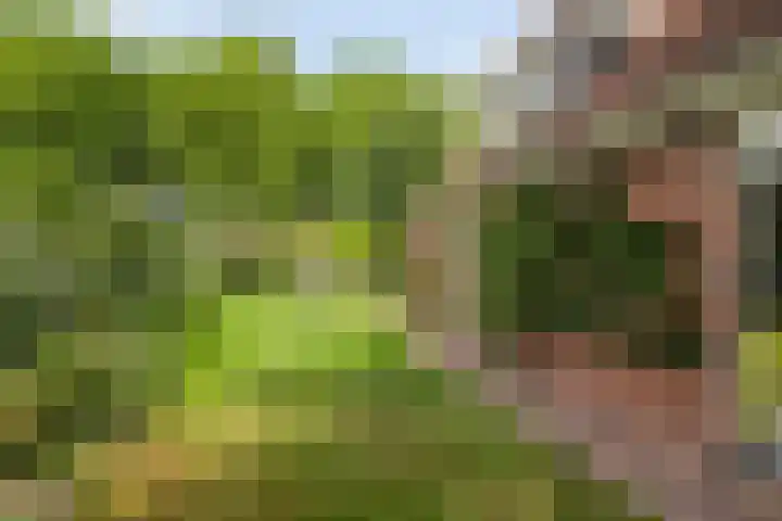 Koksburg 1 Middenbeemster thumbnail 22