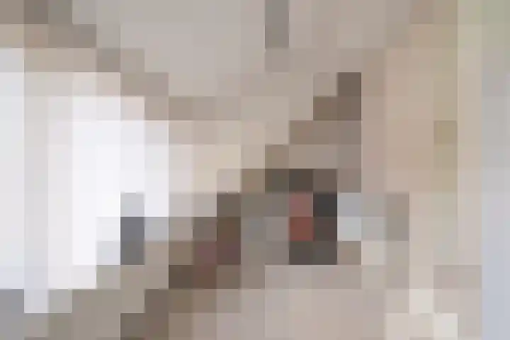 Koksburg 1 Middenbeemster thumbnail 31