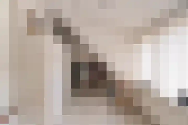 Koksburg 1 Middenbeemster thumbnail 32