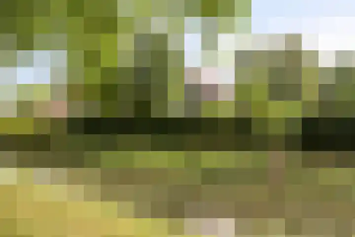 Koksburg 1 Middenbeemster thumbnail 33