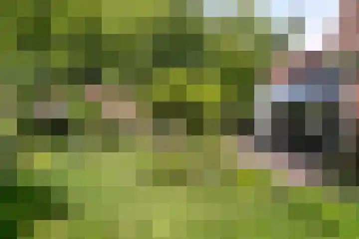 Koksburg 1 Middenbeemster thumbnail 6
