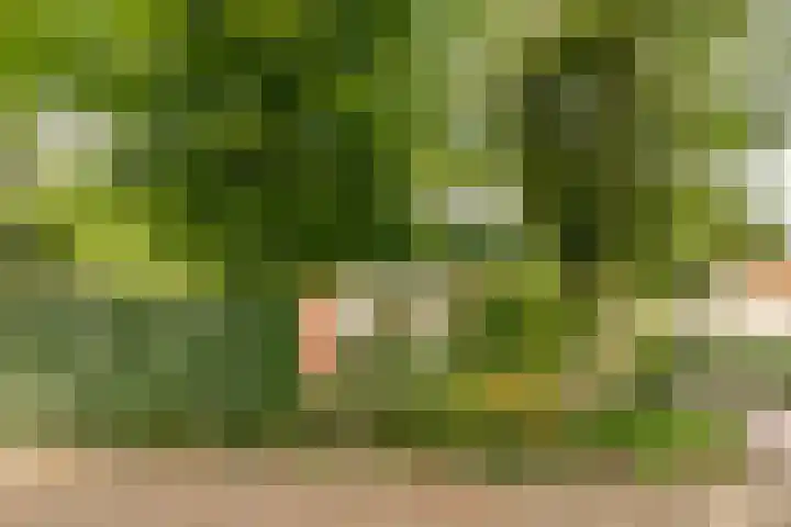 Koksburg 1 Middenbeemster thumbnail 7