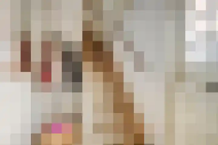 Koksburg 1 Middenbeemster thumbnail 8