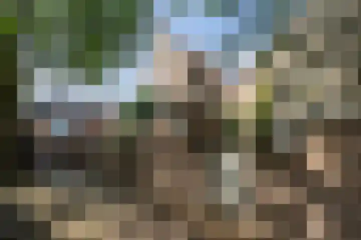 Koksche Poort 4 's-Hertogenbosch thumbnail 32