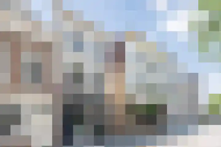 Koksche Poort 4 's-Hertogenbosch thumbnail 33
