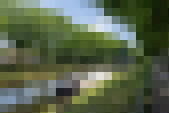 Koksche Poort 4 's-Hertogenbosch thumbnail 43