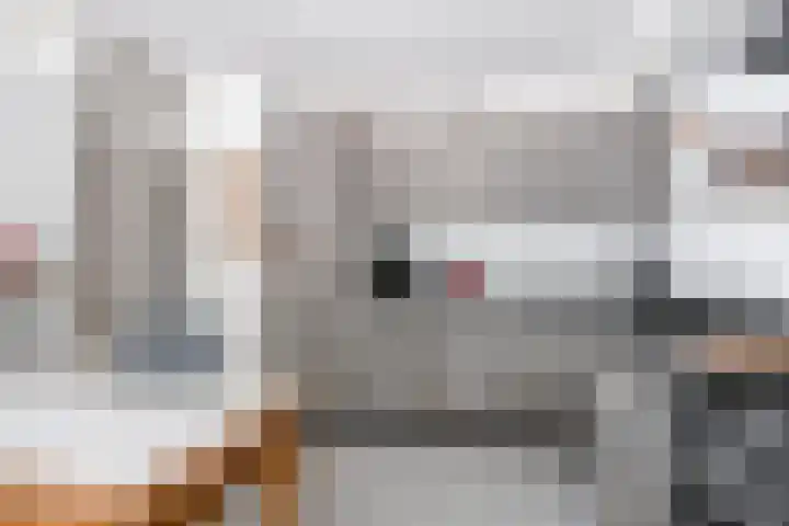 Kokse Hoeve 3 Vinkel thumbnail 18