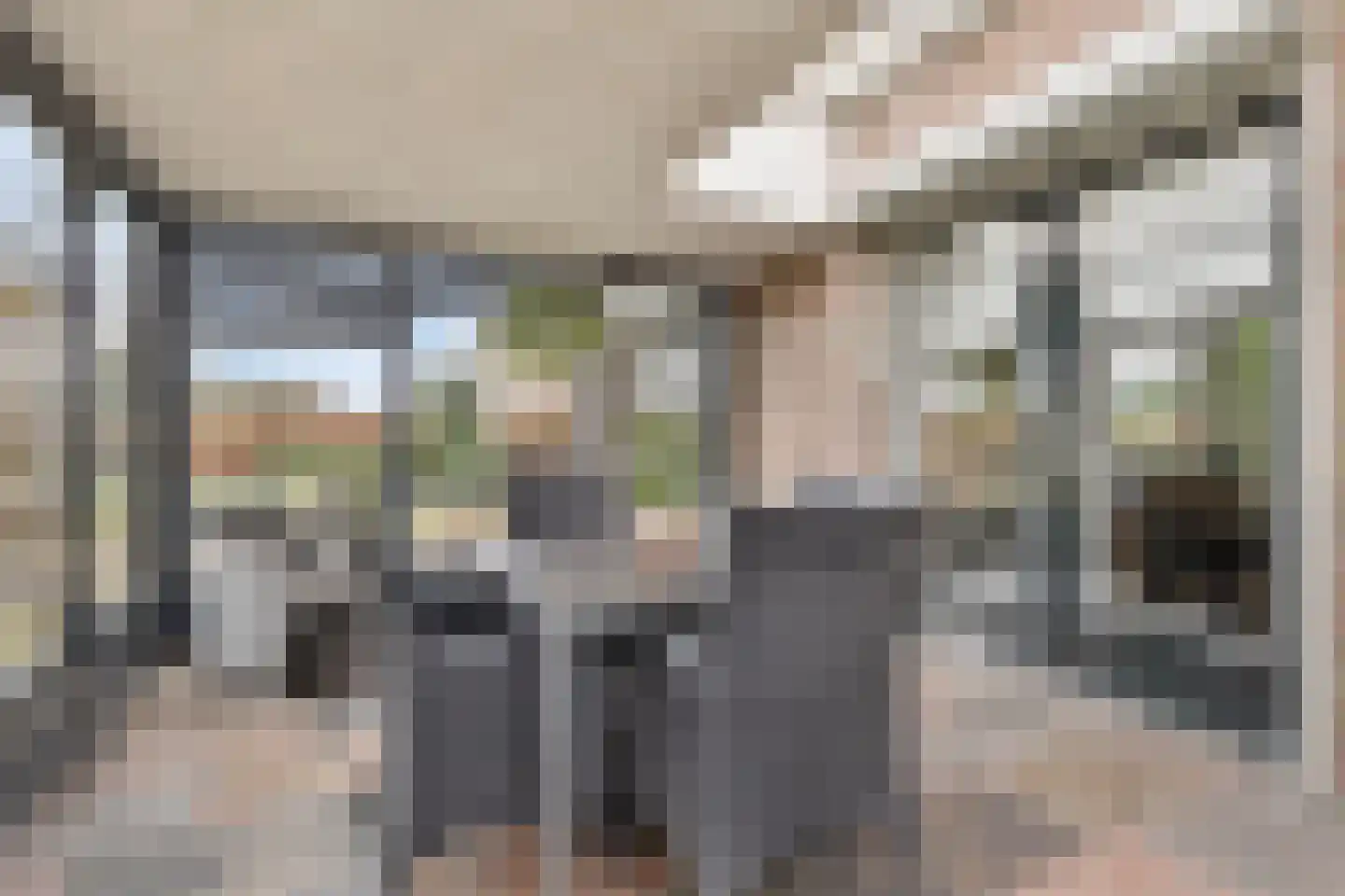 Kokse Hoeve 3 Vinkel thumbnail 19