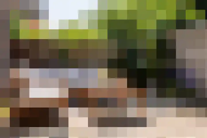 Kokse Hoeve 3 Vinkel thumbnail 46