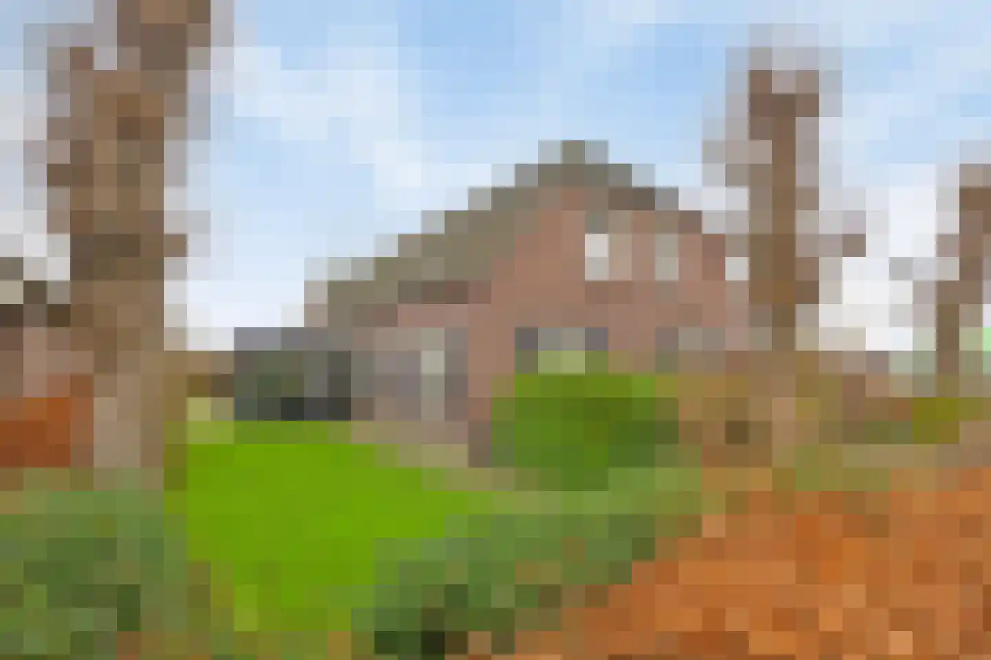 Kokse Hoeve 3 Vinkel thumbnail 52