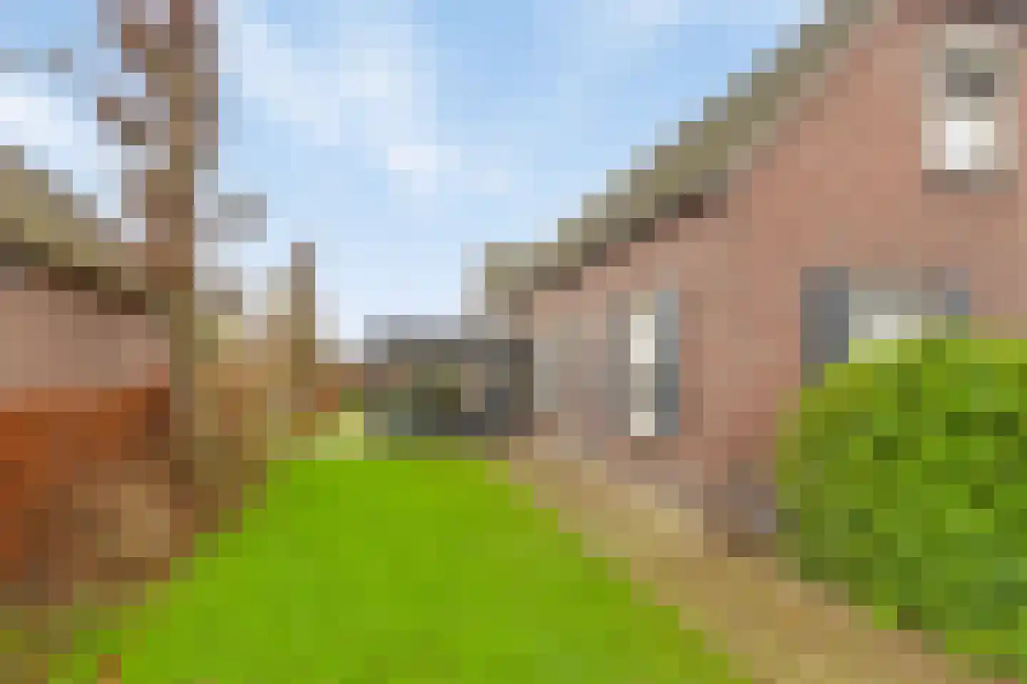 Kokse Hoeve 3 Vinkel thumbnail 53