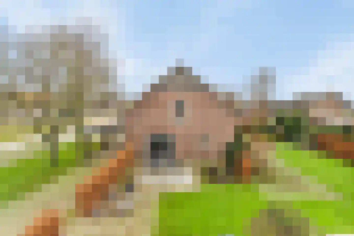 Kokse Hoeve 3 Vinkel thumbnail 54