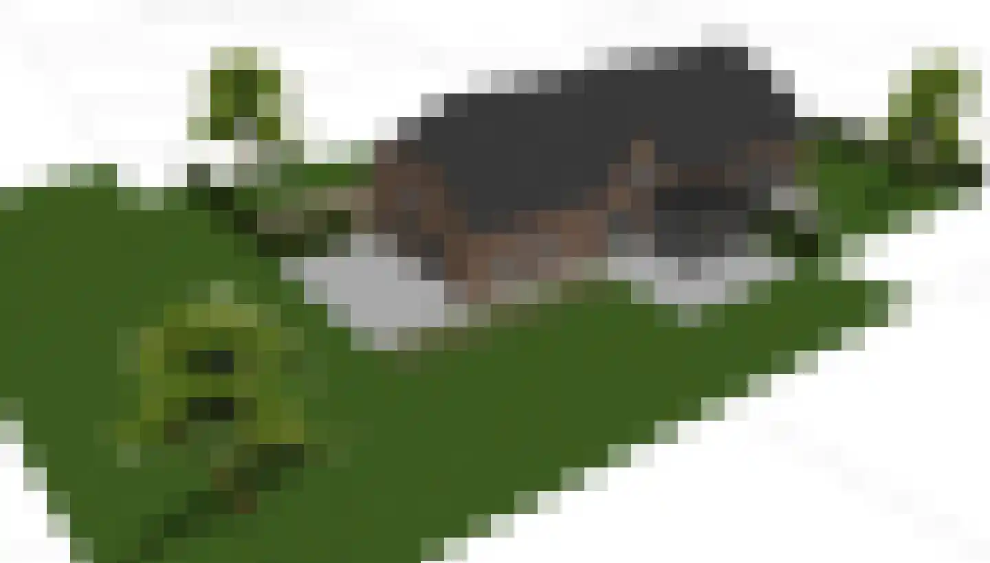 Kokse Hoeve 3 Vinkel thumbnail 63