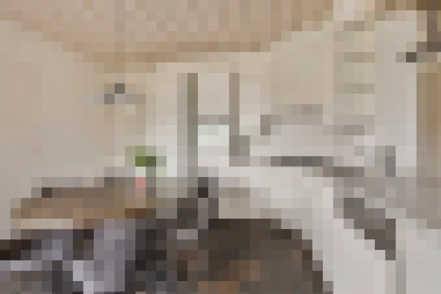 Kokse Hoeve 3 Vinkel thumbnail 9