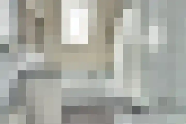 Koksenbos 2 Gameren thumbnail 24