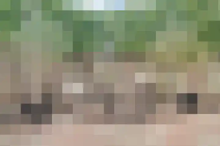 Koksenbos 2 Gameren thumbnail 35