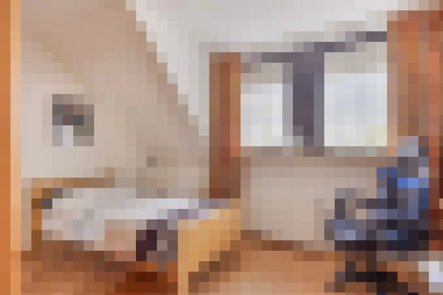 Koksgoedweg 6 Wehl thumbnail 20