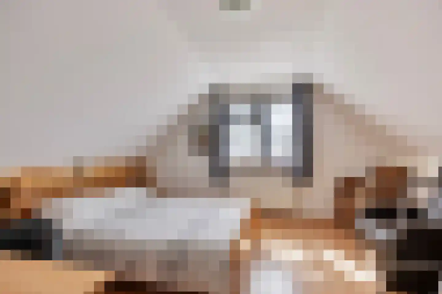 Koksgoedweg 6 Wehl thumbnail 22