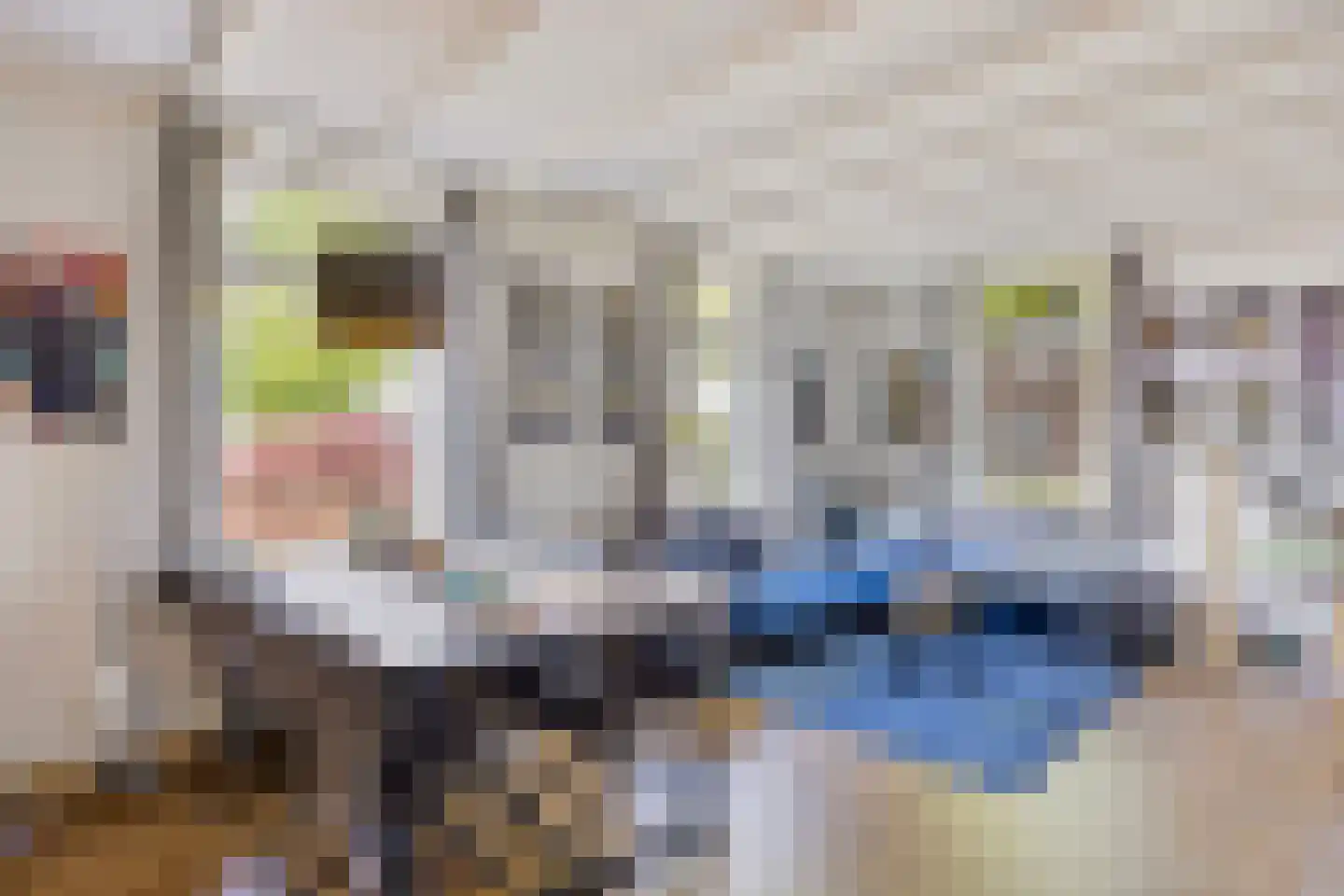 Koksgoedweg 6 Wehl thumbnail 27